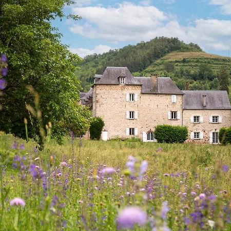 La Demeure Du Comte Bed & Breakfast Marcillac-Vallon Екстериор снимка