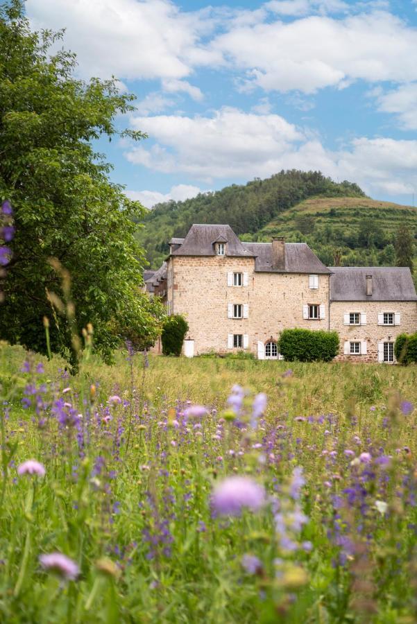 La Demeure Du Comte Bed & Breakfast Marcillac-Vallon Екстериор снимка